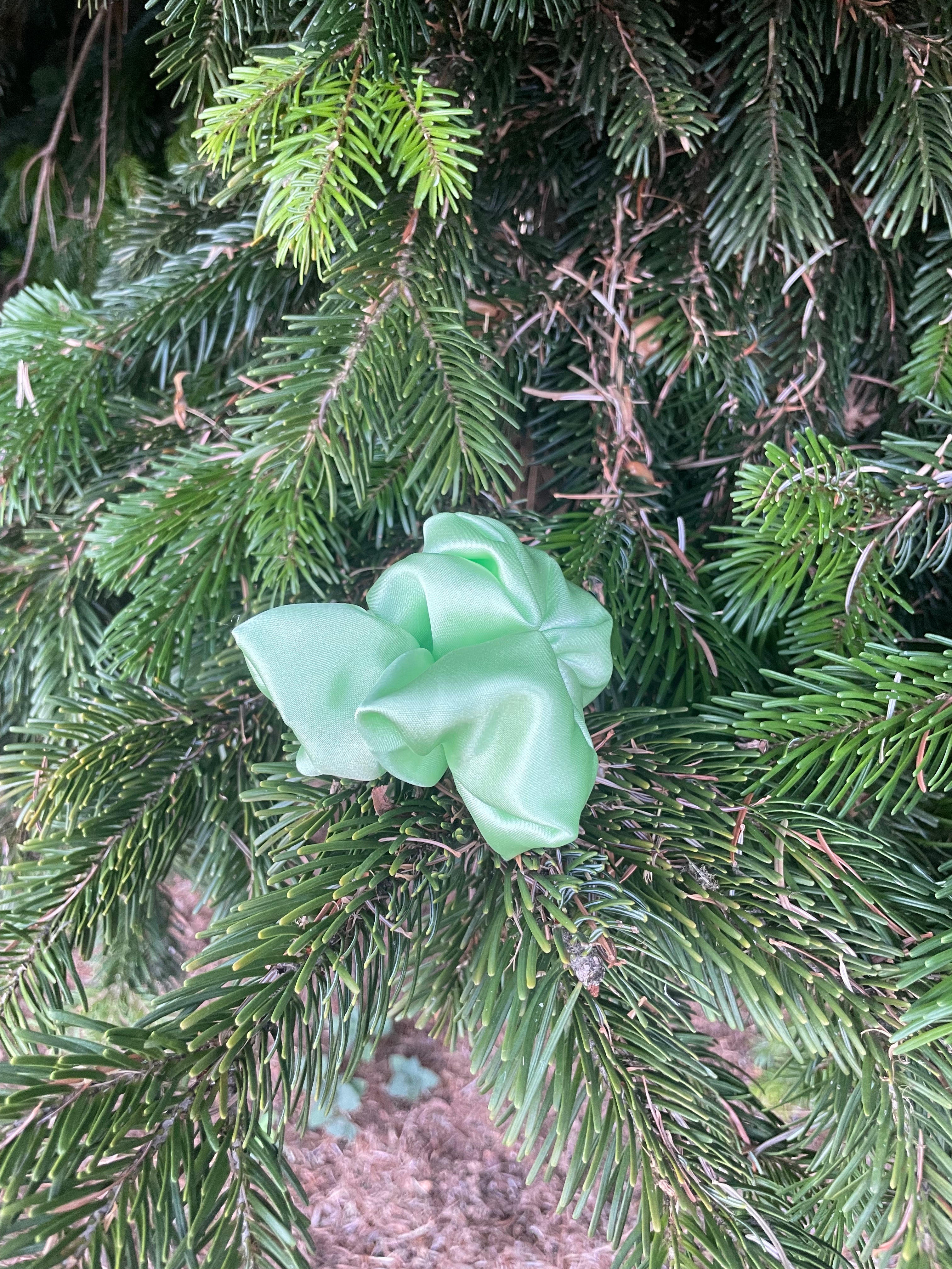 Mint Breeze