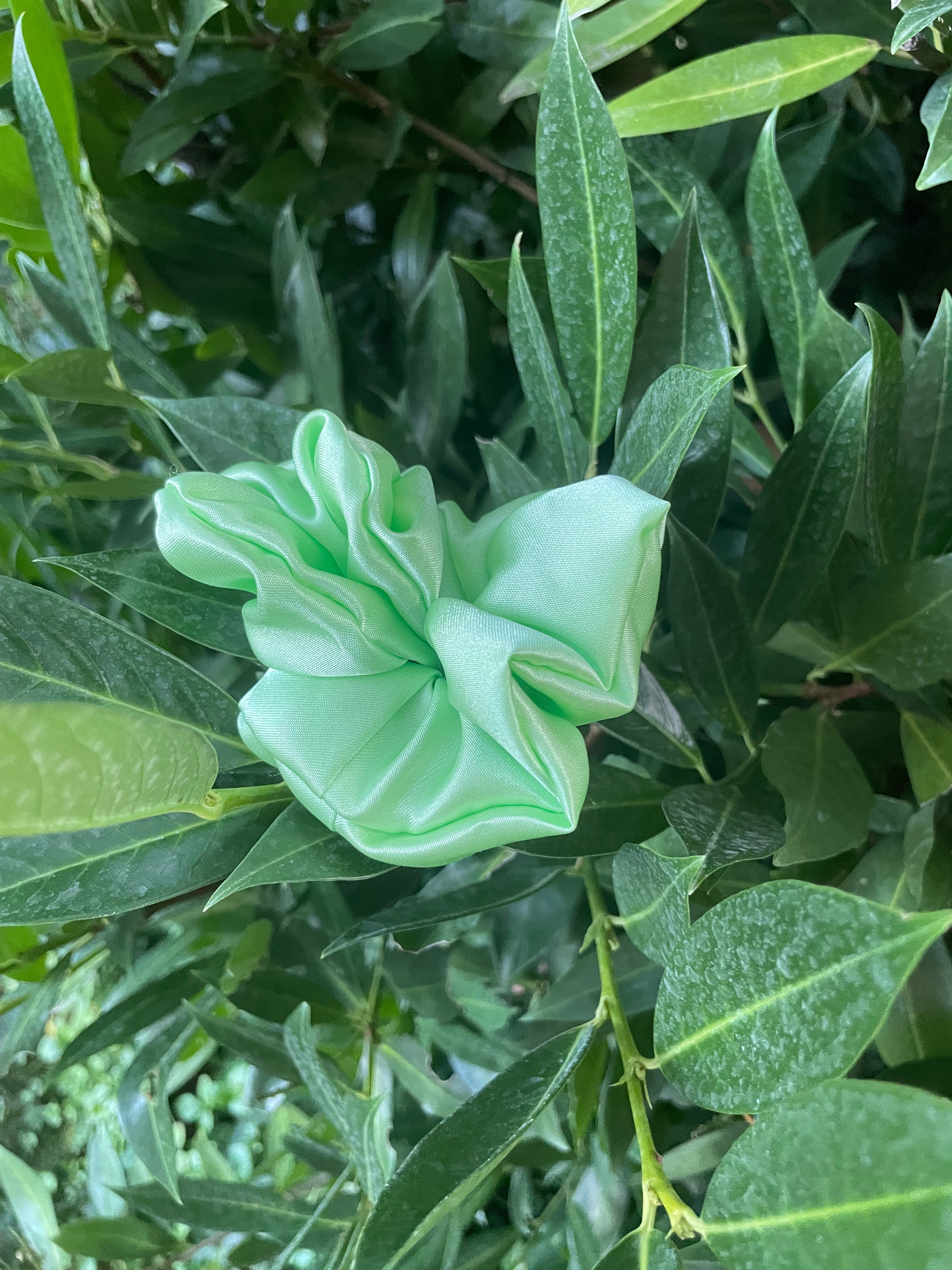 Mint Breeze