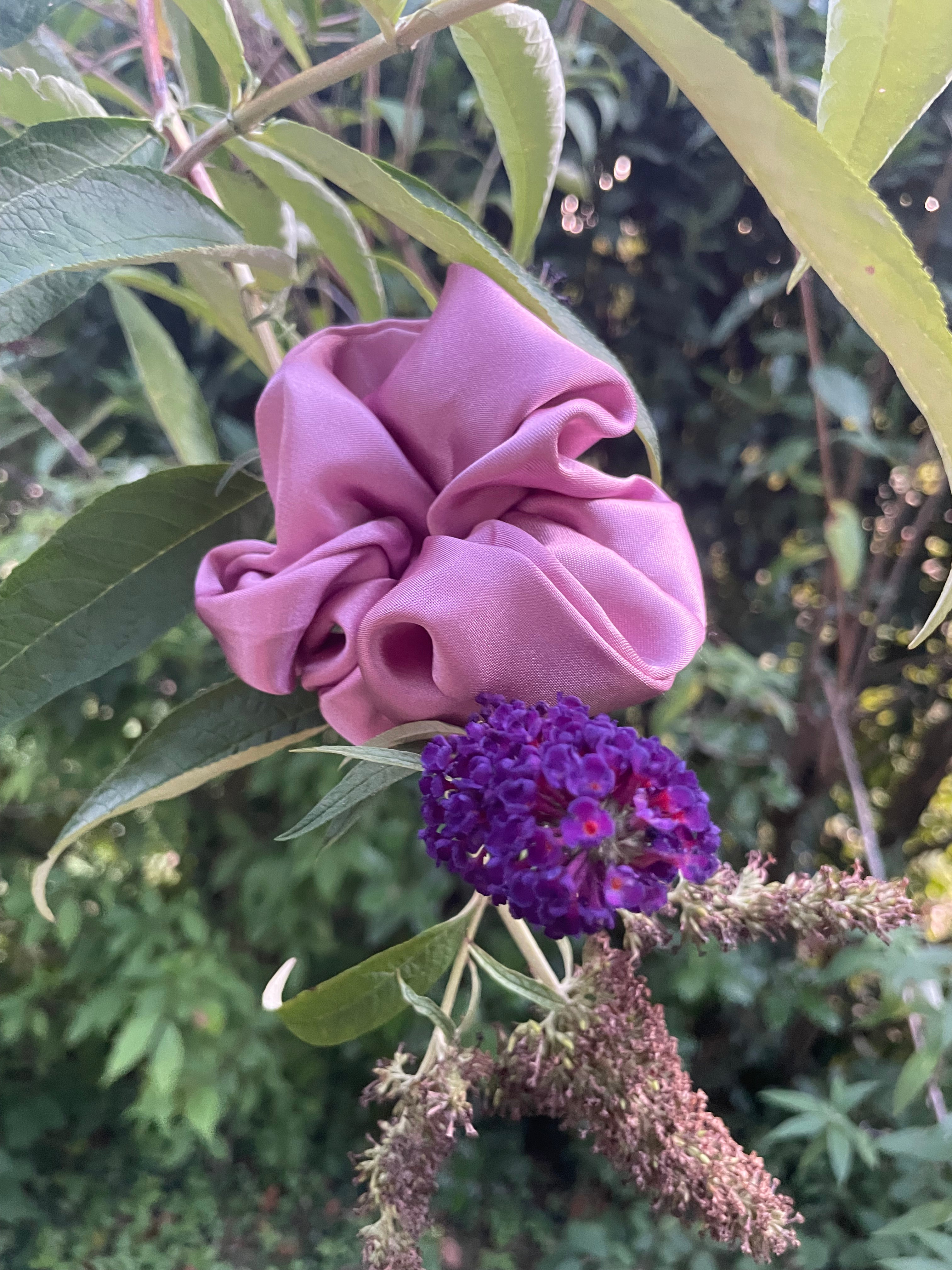 Berry Bloom