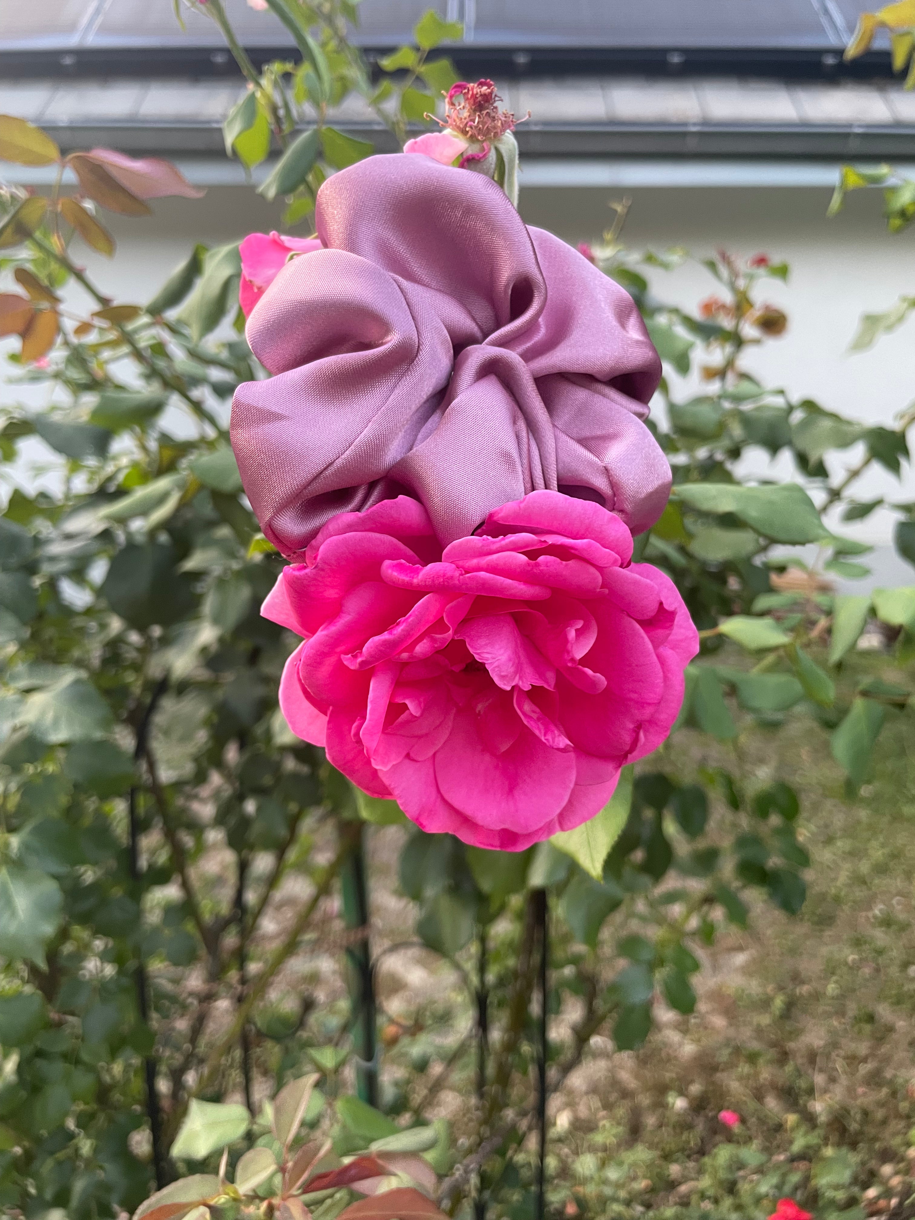 Berry Bloom