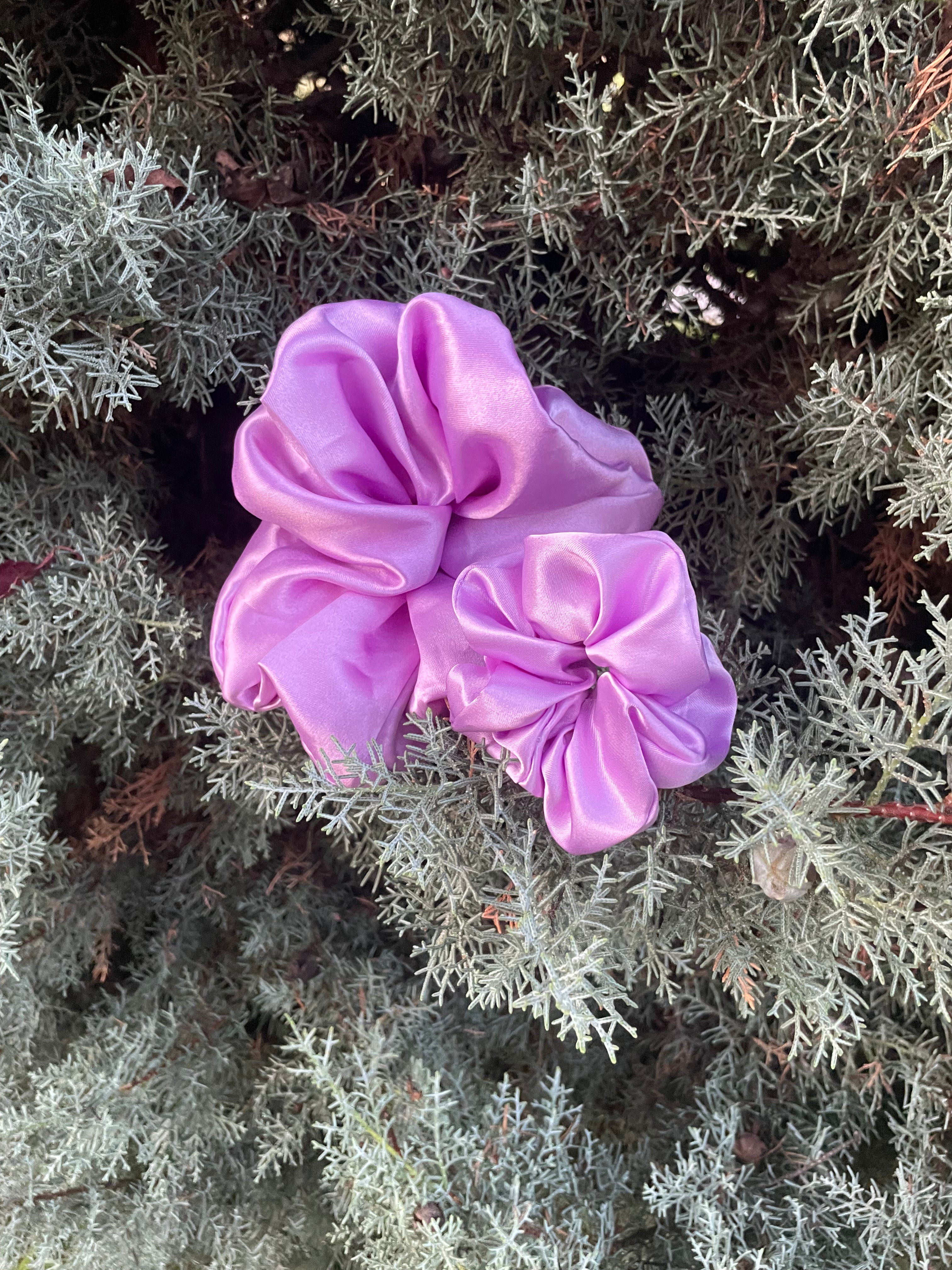 Lavender Blush