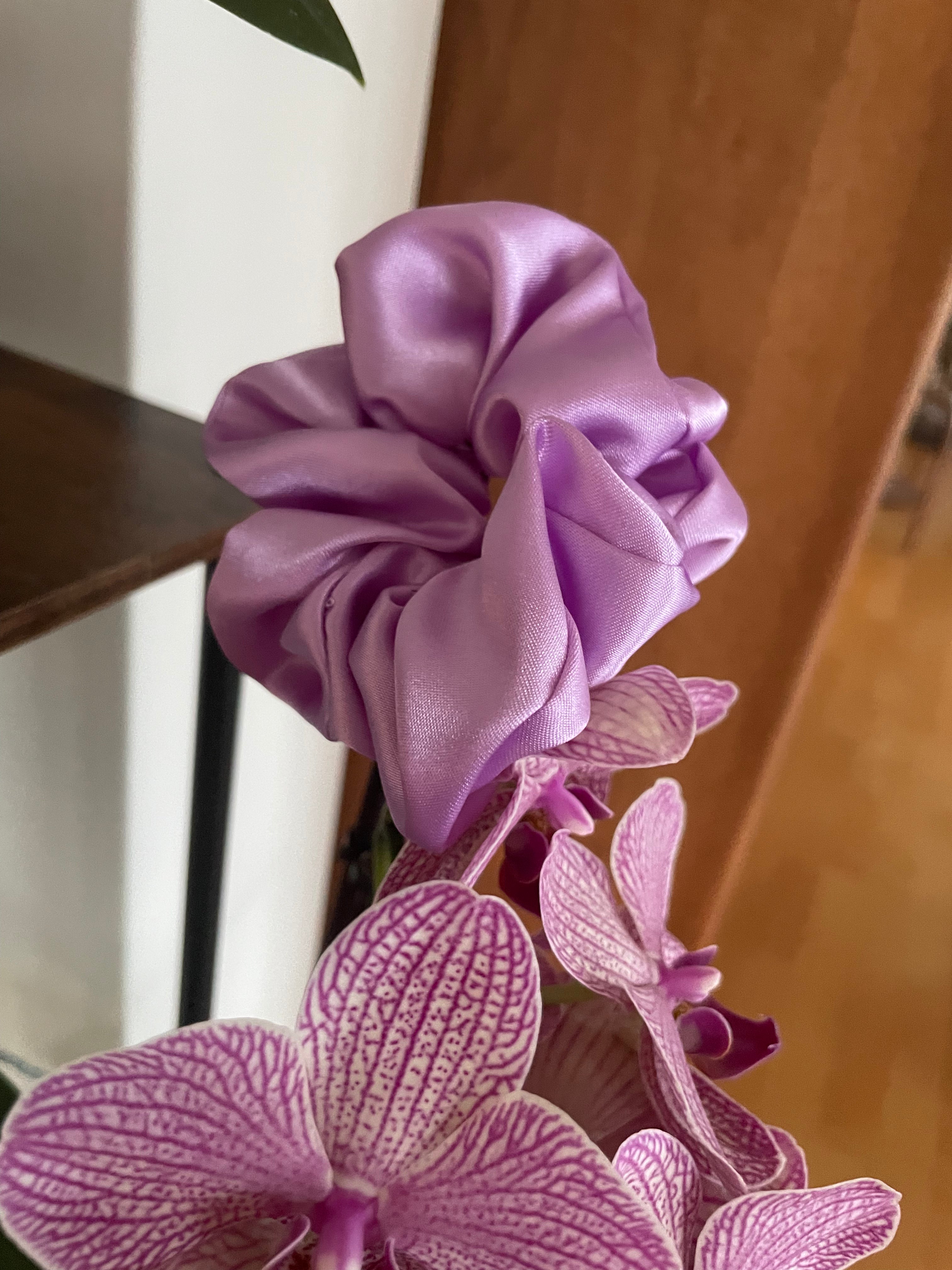 Lavender Blush