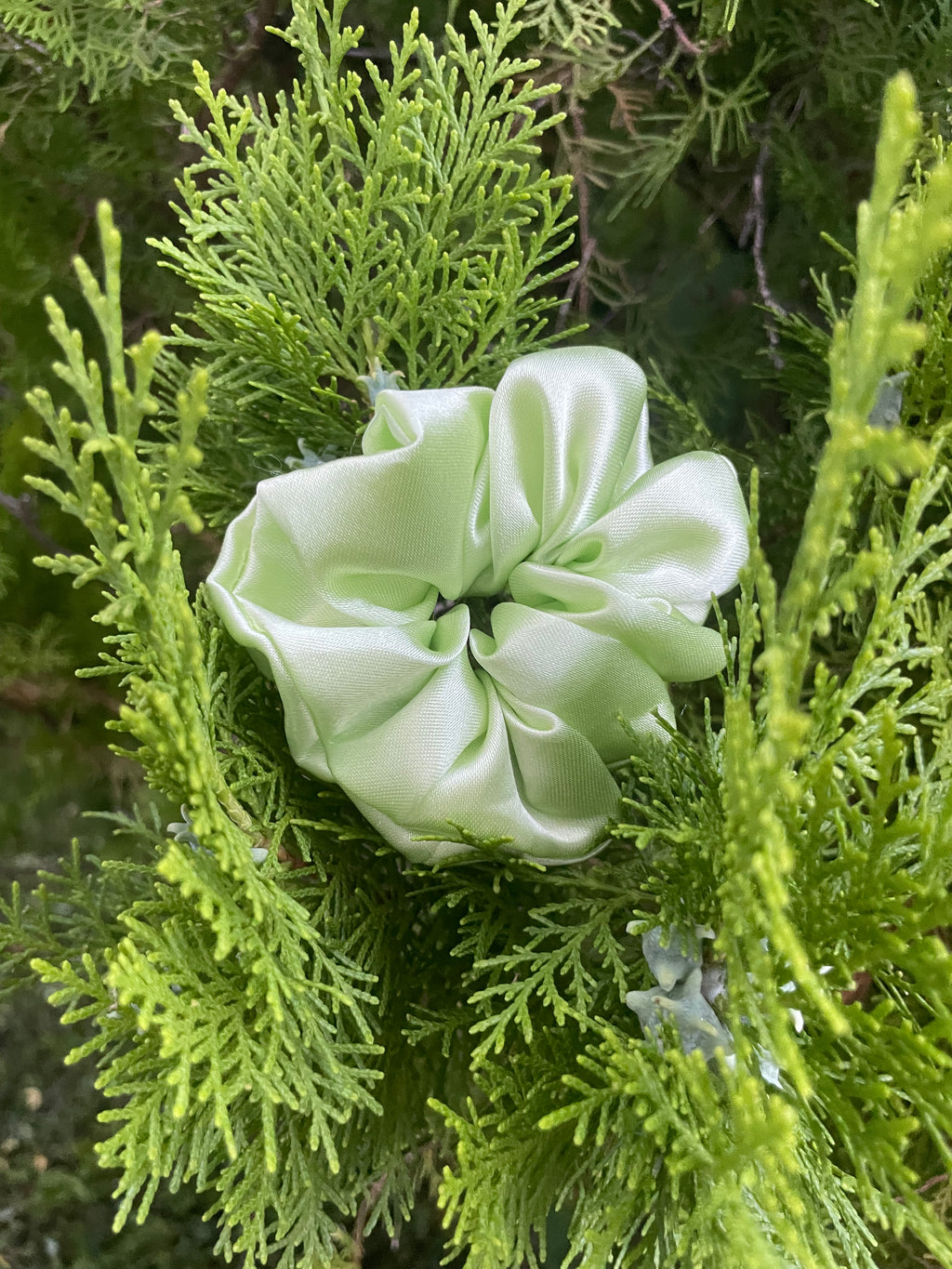 Green Gleam