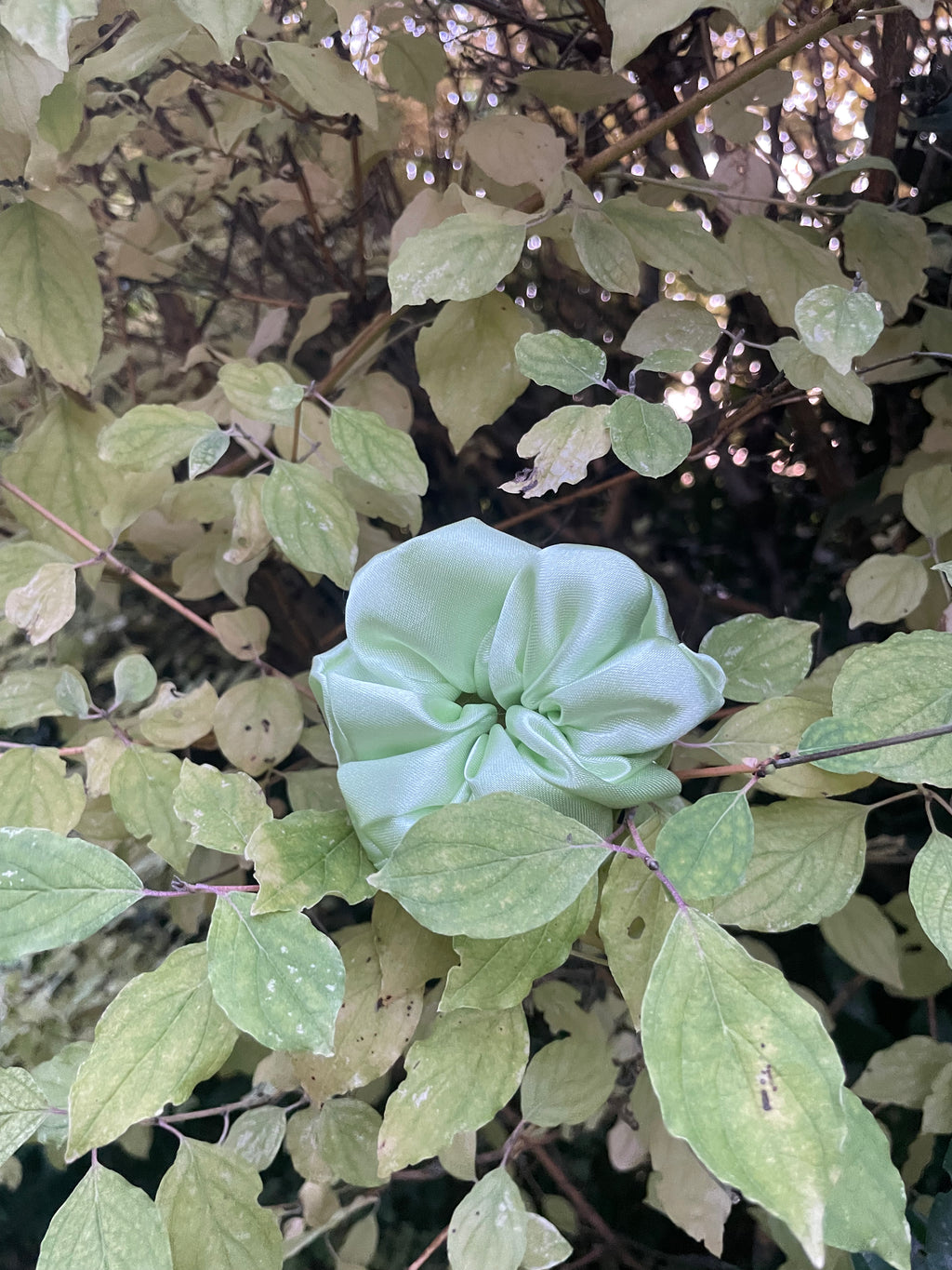 Green Gleam