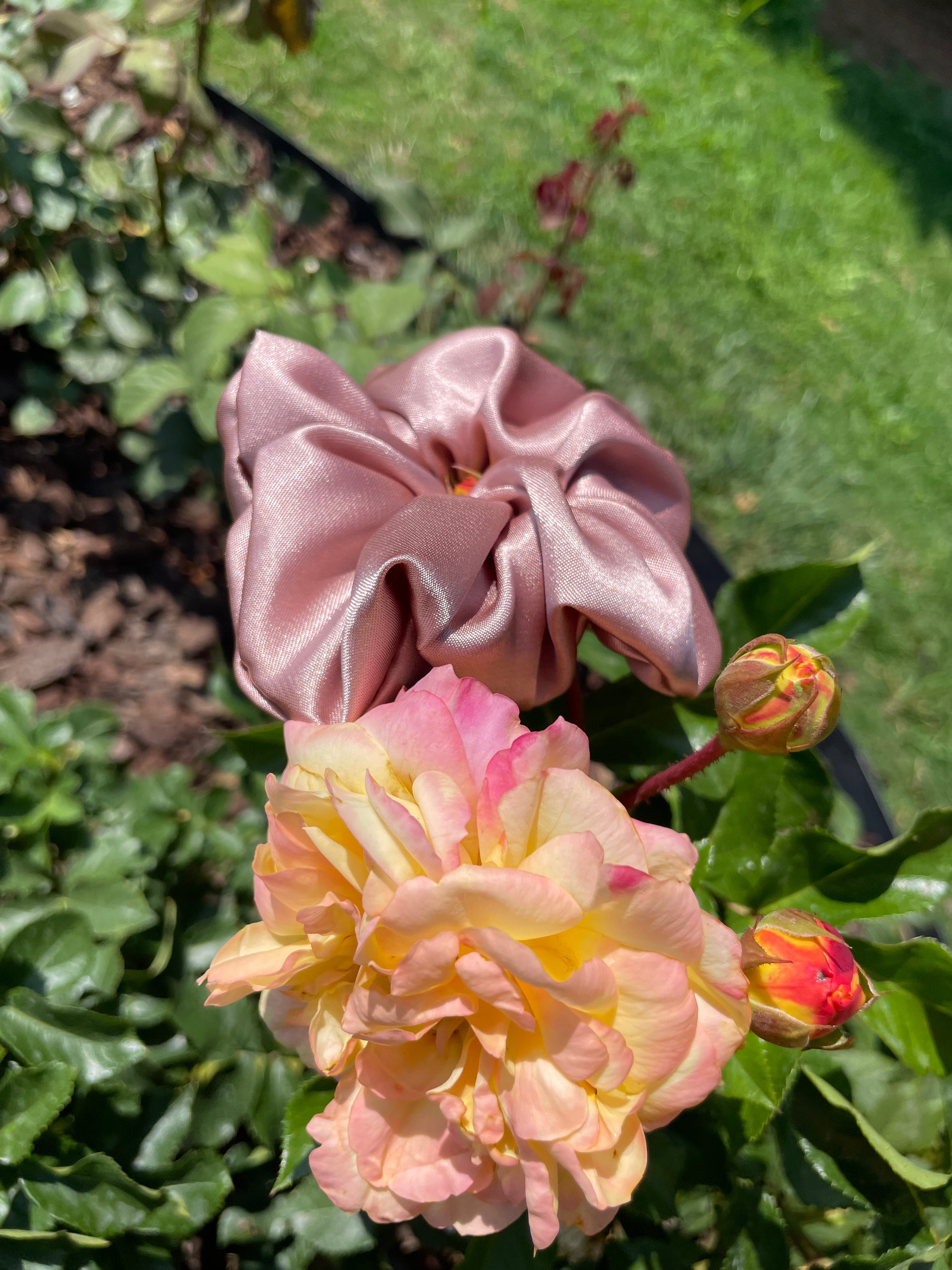 Coffee Brown