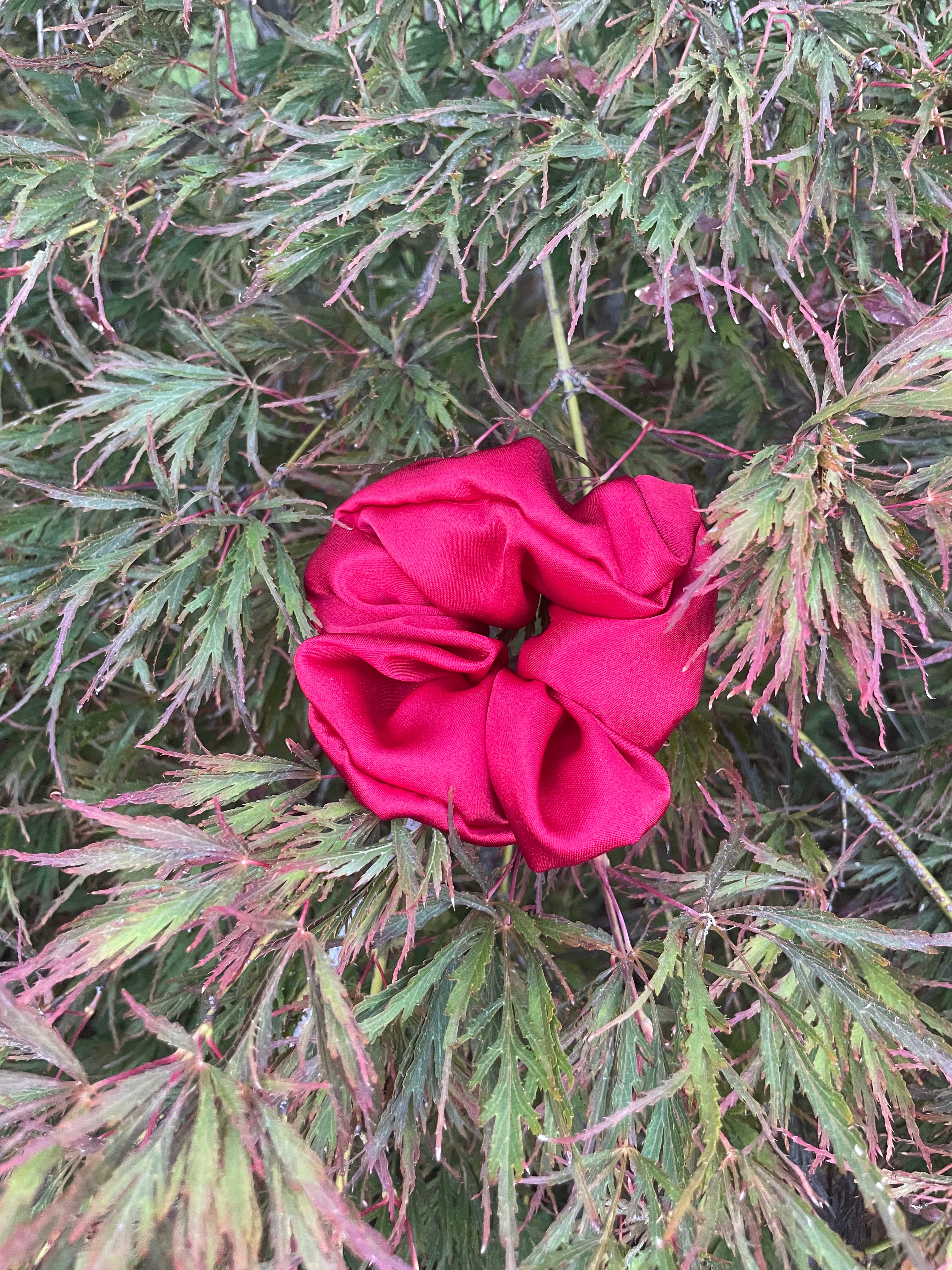 Red Cherry